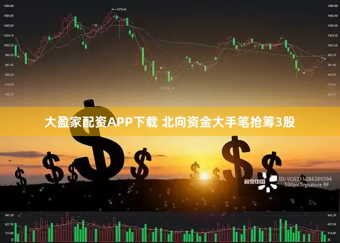 大盈家配资APP下载 北向资金大手笔抢筹3股